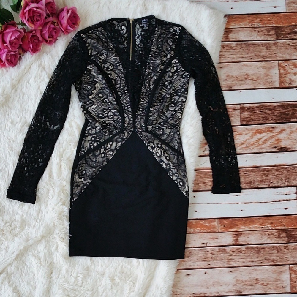 Black Long Sleeve Lace Plunge Neck Dress - Picture 1 of 3
